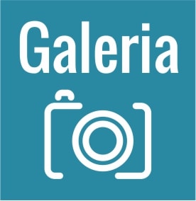 galeria-przycisk